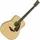 Guitarer