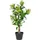 Kunstige planter