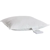 Kreativitet og Livsstil