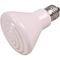 Foder og tilbehør til reptiler og padder