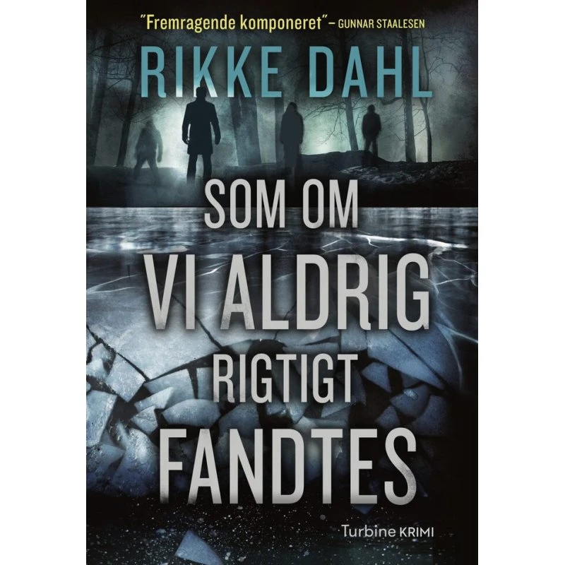Som om vi aldrig rigtigt fandtes af Rikke Dahl (Lydbog)