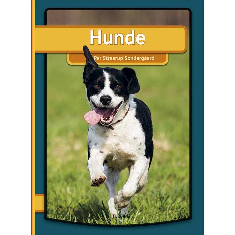 Hunde - Min første bog (Tysk udgave)