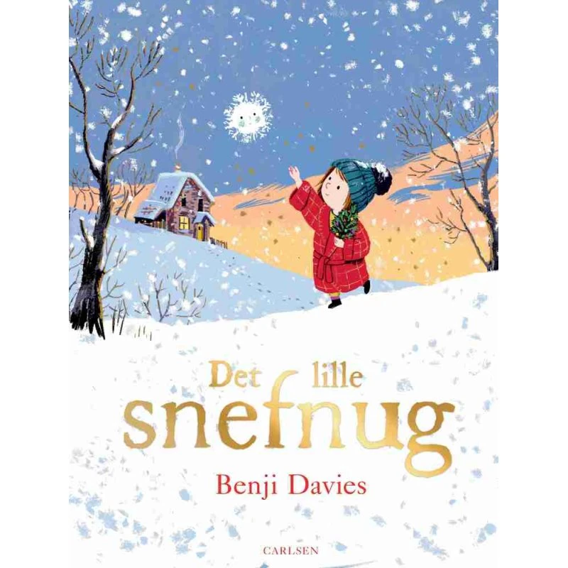 Det lille snefnug