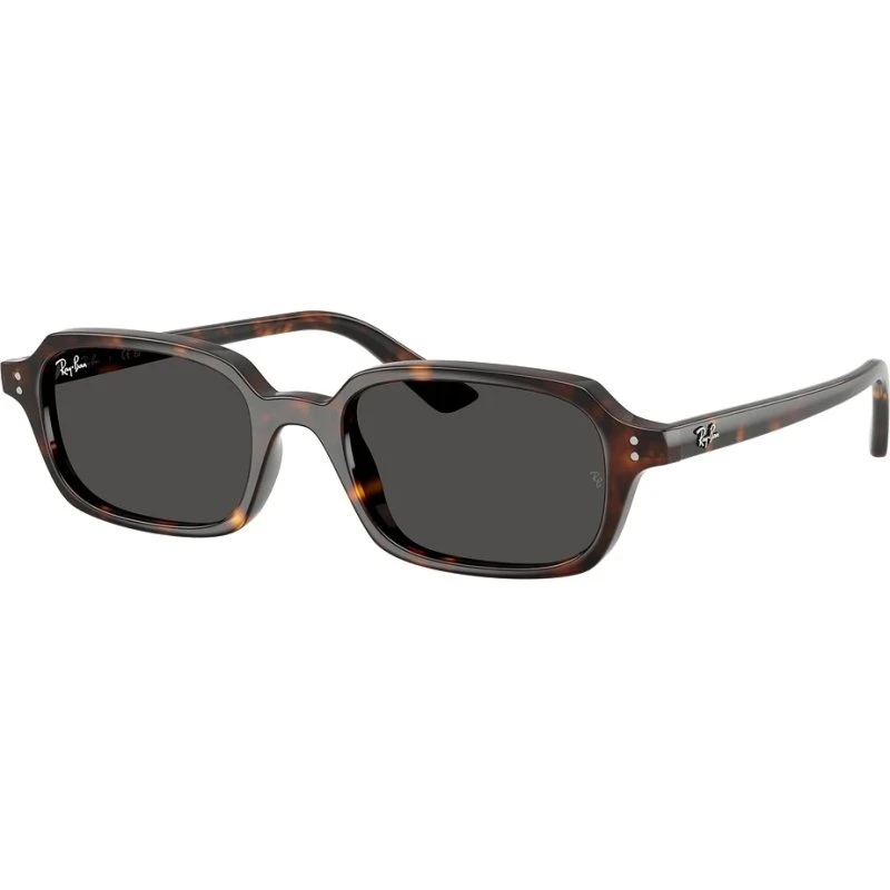 Ray-Ban 0RB4455 Zuri Bio-Based brun