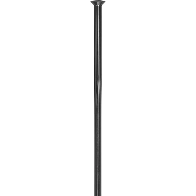 DT Swiss Revolite Straight Pull eger, sort
