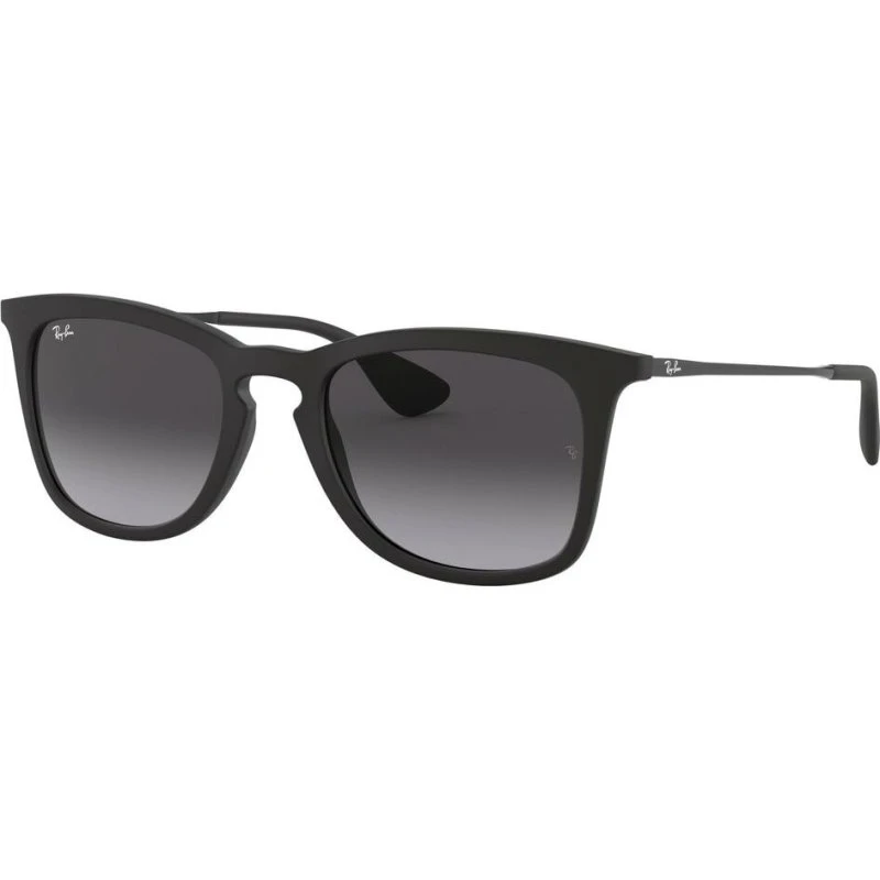 Ray-Ban RB4221 622/8G 50 Unisex solbriller – sort/grådegraderede