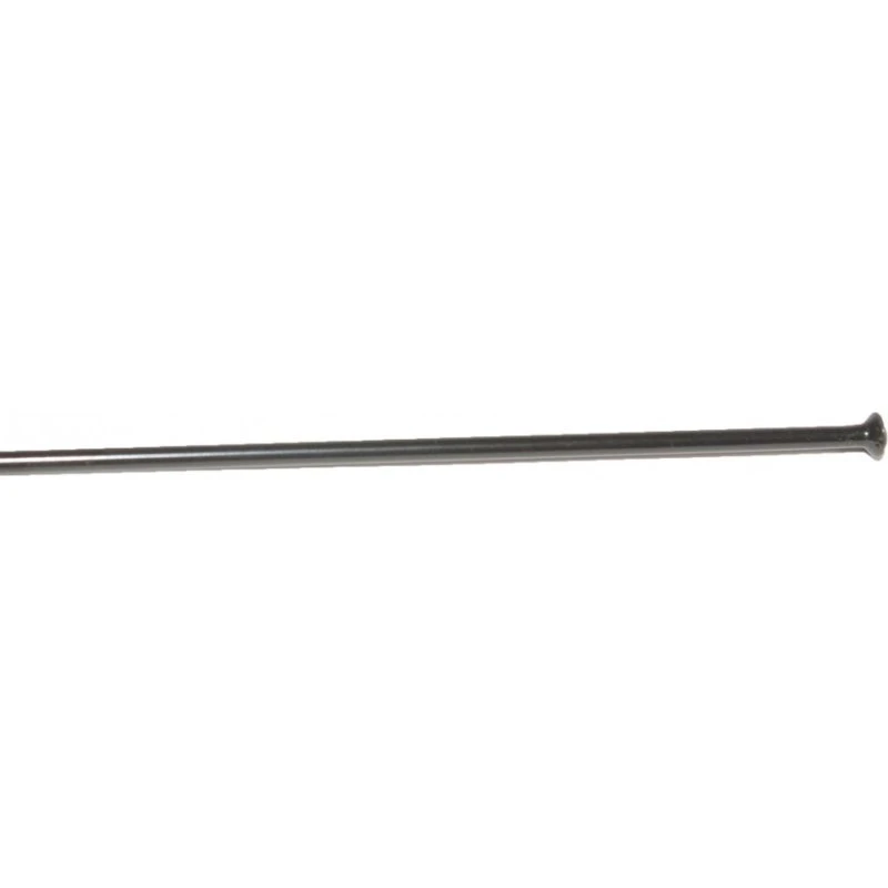 DT Swiss Competition Eger Straight Pull Sort
