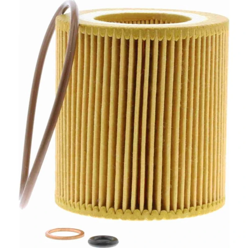 VAICO Oliefilter BMW V20-0645 - Filterindsats med pakninger