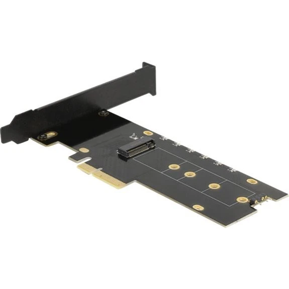 DeLOCK M.2 NVMe PCIe 4.0 x4 Lagringskontrol (Lavprofil)
