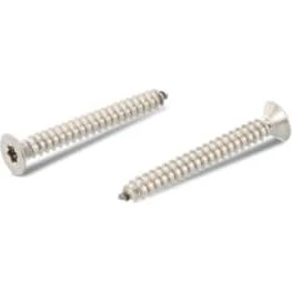 Pladeskrue 4,8x45 ISO 14586 A2 Rustfri Torx