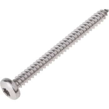 ISO 14585/DIN 7981 A2 Panhoved pladeskrue Torx 3,9x19