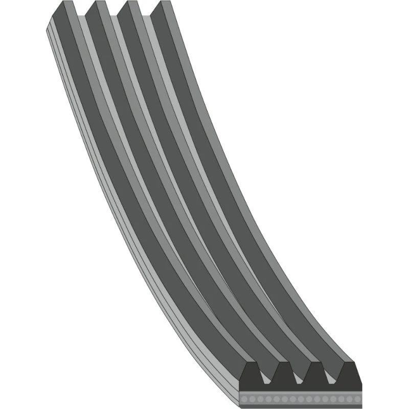 FEBI BILSTEIN Kileribberem til FIAT 178934 (900 mm, 4 riller)