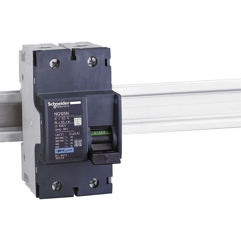 Maksimalafbryder NG125N 2-polet 10A C-kurve