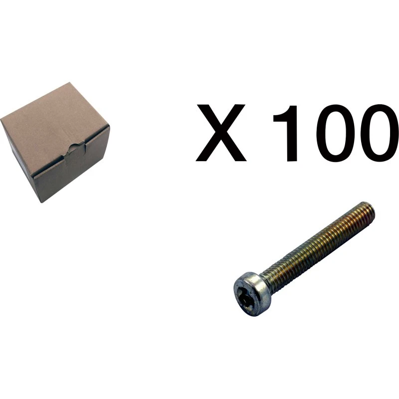 100 stk. Cylinderskruer Torx Lavt Hoved 3101-0630q1
