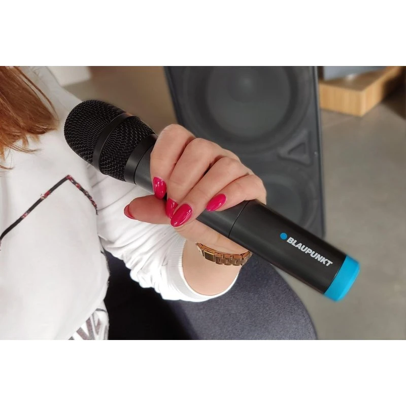 Blaupunkt UHF WM60UDB Dual Trådløs Mikrofon - Sort