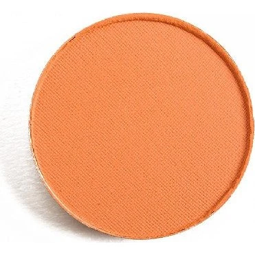 MAC Pan Rule Eyeshadow Refill (1,5 g)