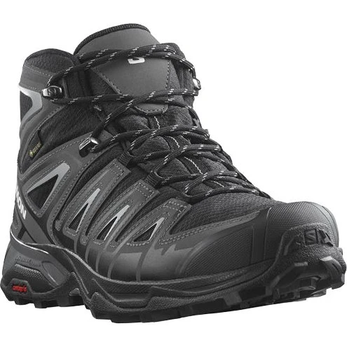 Salomon X Ultra Pioneer Mid GTX peat/q. shade EU47 1/3