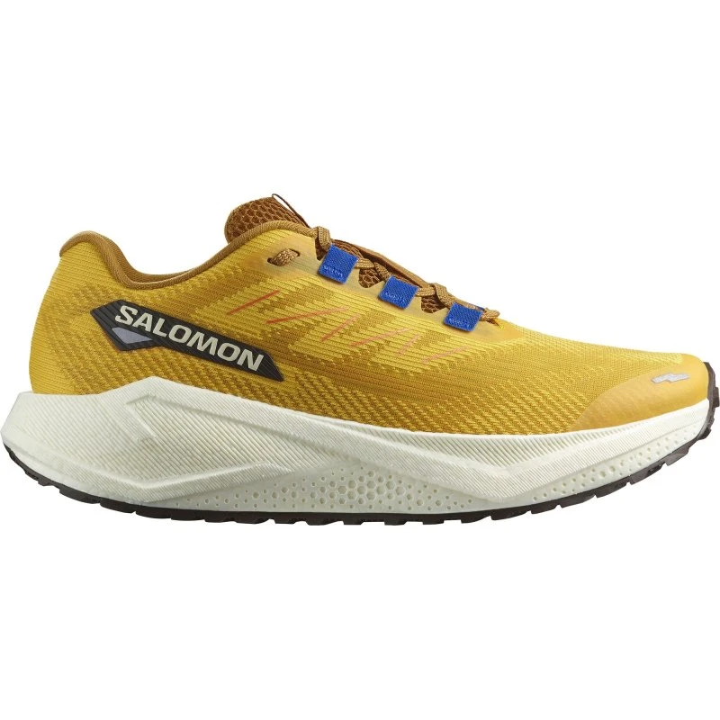 Salomon Aero Blaze 3 GRVL Herre — Spicy Mustard/Vanilla