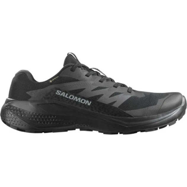 Salomon Alphaglide GTX Vandresko Herre Black/Asphalt