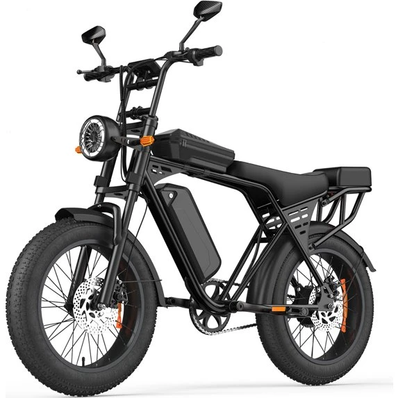 AAIRSK X5 Fat Bike 20" – 48V 250W 15Ah, Sort