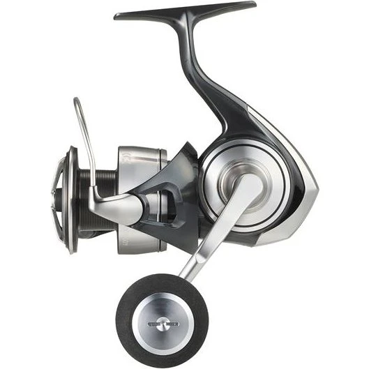 Daiwa 24 Certate SW Saltvands Spinnehjul