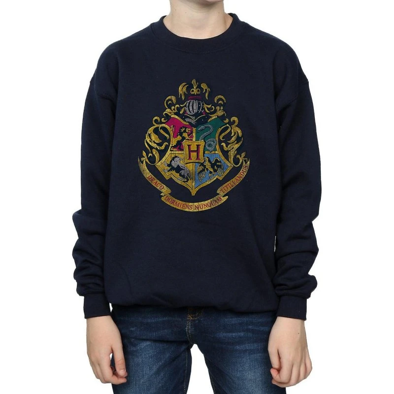 Harry Potter Hogwarts Houses Sweatshirt til drenge