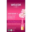 Weleda Wild Rose Skin Repair 7 Days Cure Oil 5,6 ml