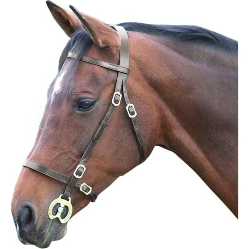 Blenheim Læder Bridle med Messingbeslag