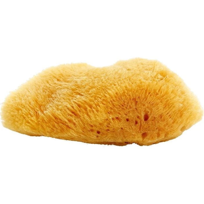 Magnum Naturlig Caribisk Havsvamp 10-12 cm