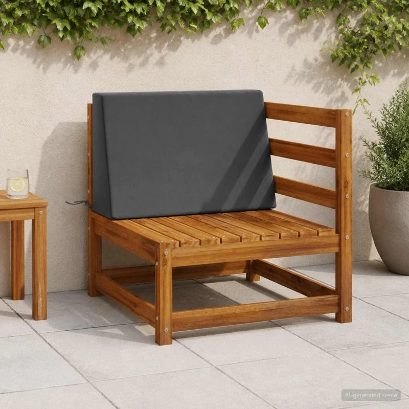 vidaXL Ryghynde SOEST Antracit 60 x 20 x 40 cm