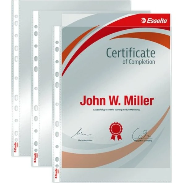 Esselte Plastlomme A4 105µ glasklar 11-huls, topåbning 10 stk