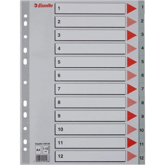 Esselte Plastregister A4 1-12 grå med kartonforblad