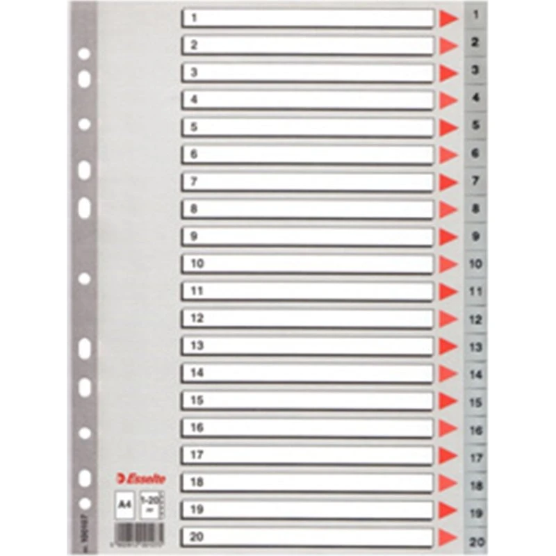 Esselte Talregister A4 1-20 grå med kartonforblad
