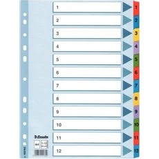 Esselte Mylar papinddelere A4 1-12 (12 kort)