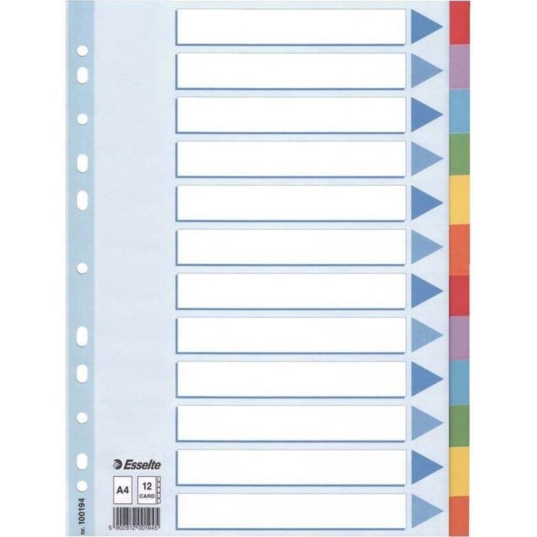 Esselte faneblade A4 12-delt farvet karton (10 stk)