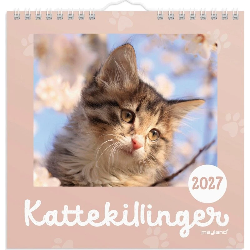 Mayland Vægkalender mini Kattekillinger 2027 - 16 x 16 cm