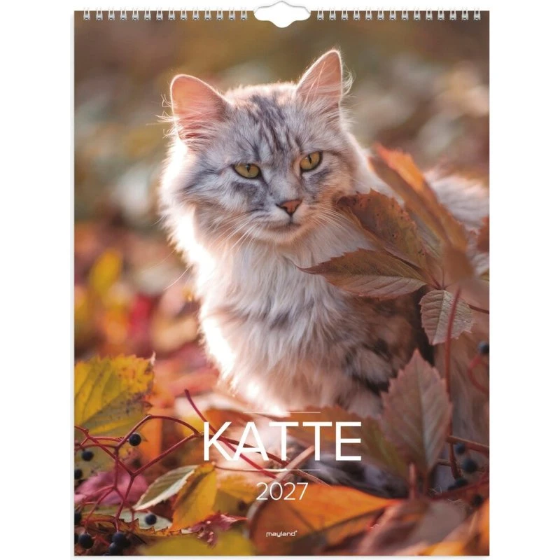 Mayland Vægkalender Katte 2027 (29,5 x 39 cm)