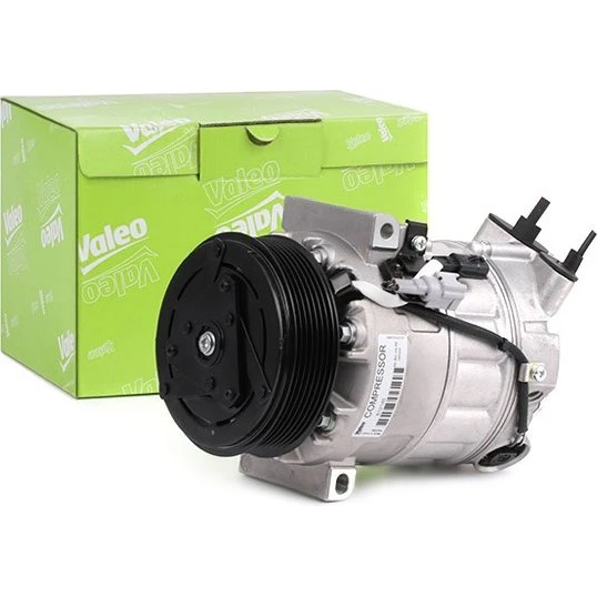 VALEO Klimakompressor til Renault Laguna & Latitude (813145)