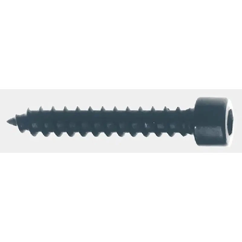 Skruer med cylinderhoved 5 x 30 mm (24 stk)