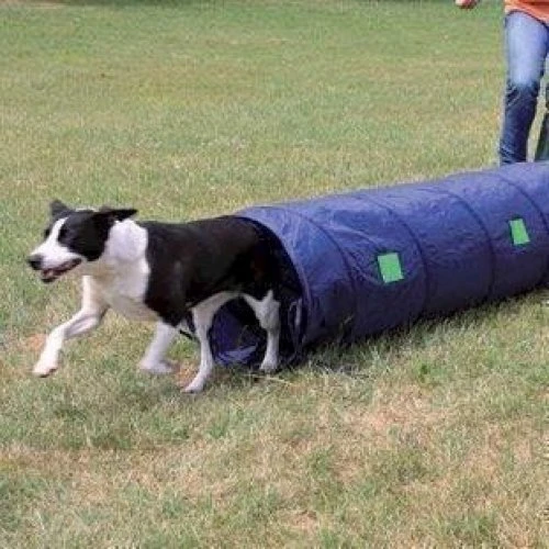 Trixie Fun Agility Mini Tunnel, 2m x 40cm