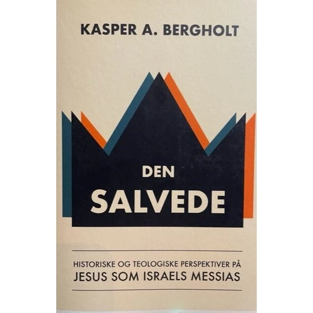 Den Salvede af Kasper A. Bergholt