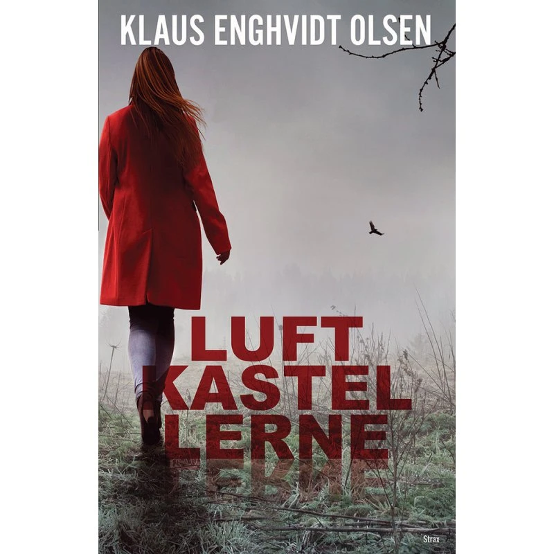 Luftkastellerne af Klaus Enghvidt Olsen