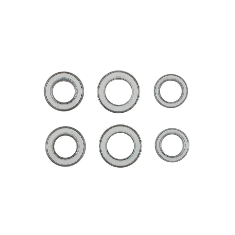 CeramicSpeed ALPHA Wheel Bearing Kit til DT Swiss 240 Disc