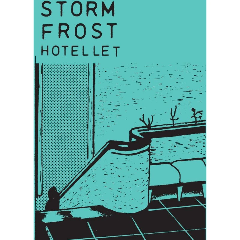 Storm Frost: Hotellet - Baggaardens Baglommebøger