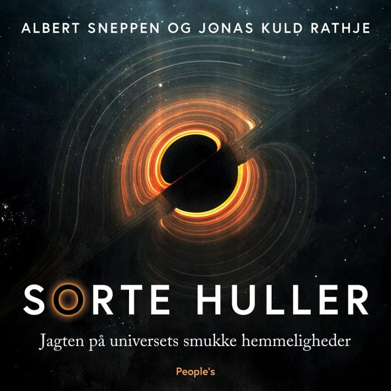 Sorte huller - Albert Sneppen & Jonas Kuld Rathje (Lydbog)