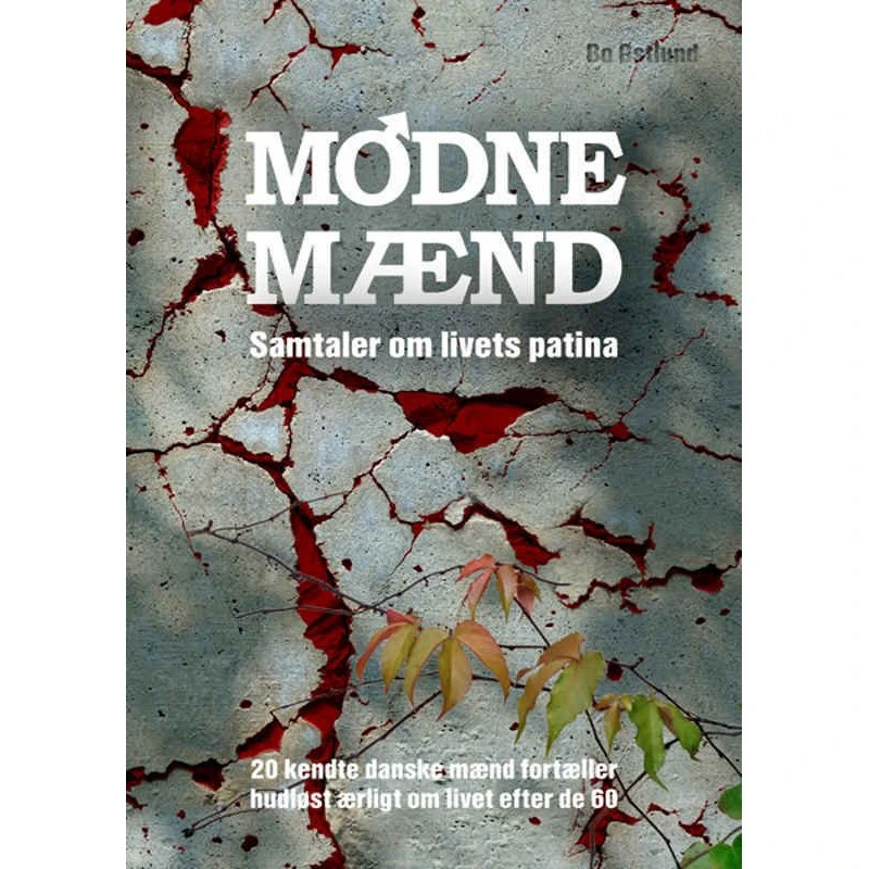 Modne Mænd - Bo Østlund (Lydbog)