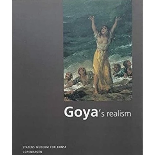 Goya's Realism - Vibeke Vibolt Knudsen - Engelsk bog