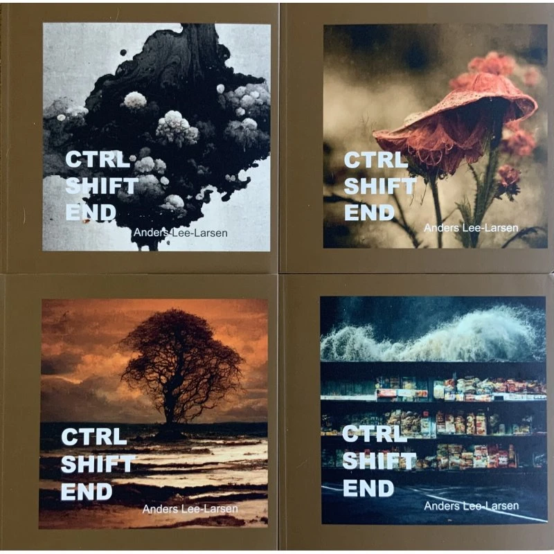 Anders Lee-Larsen: CTRL SHIFT END - Digtsamling