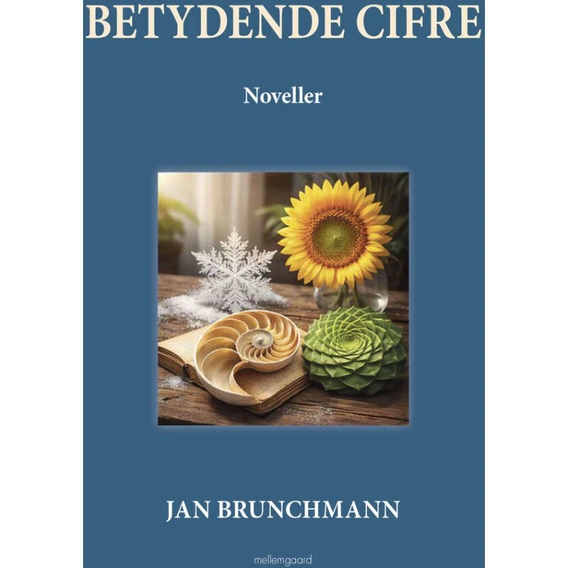 Betydende cifre - Jan Brunchmann (Bog)