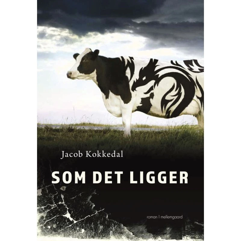 Som det ligger - Jacob Kokkedal (Bog)